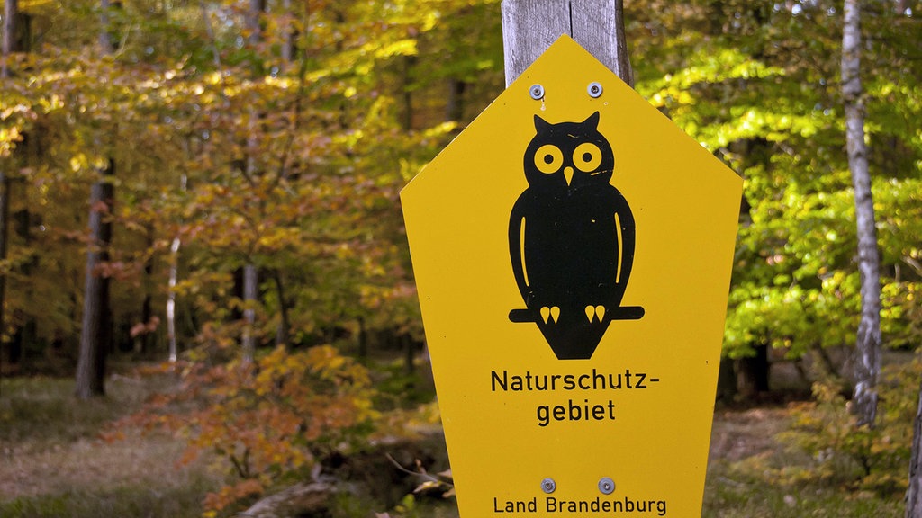Read more about the article Nachhaltiger Tourismus: Details, bitte!