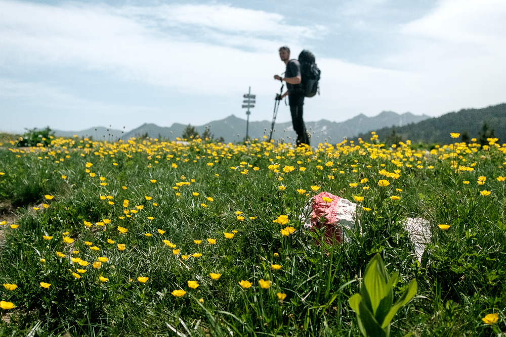 Ein kleiner Wegweiser für den Peaks of the Balkans auf einer Blumenwiese